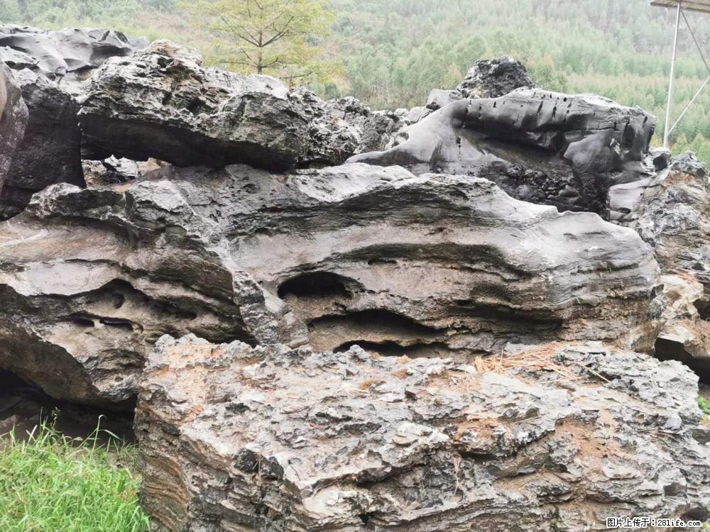 风景石、假山石大量有货，有需要的欢迎联系 - 新手上路 - 泰州生活社区 - 泰州28生活网 taizhou.28life.net