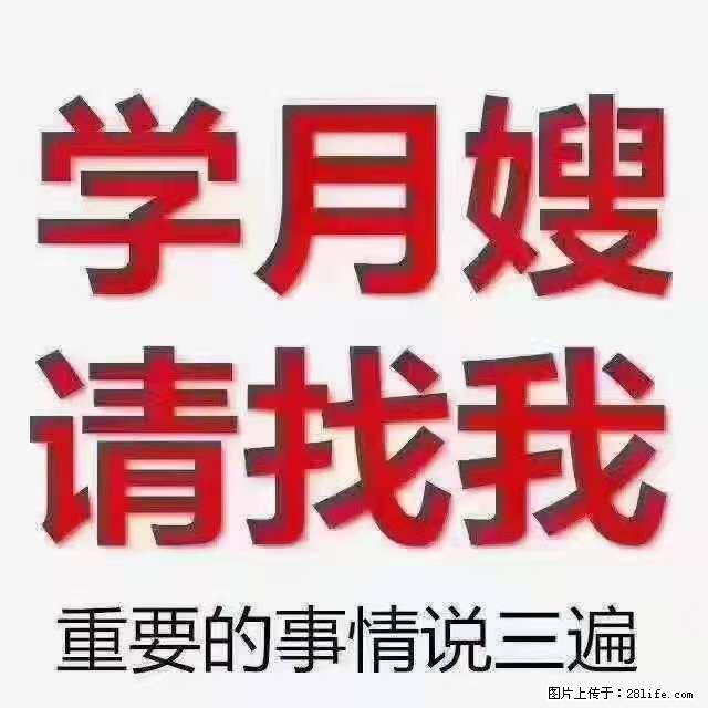 为什么要学习月嫂，育婴师？ - 新手上路 - 泰州生活社区 - 泰州28生活网 taizhou.28life.net