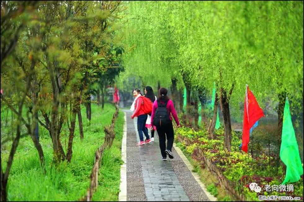 【春天，广西桂林灌阳县向您发出邀请！】江口老街又逢春 - 游山玩水 - 泰州生活社区 - 泰州28生活网 taizhou.28life.net