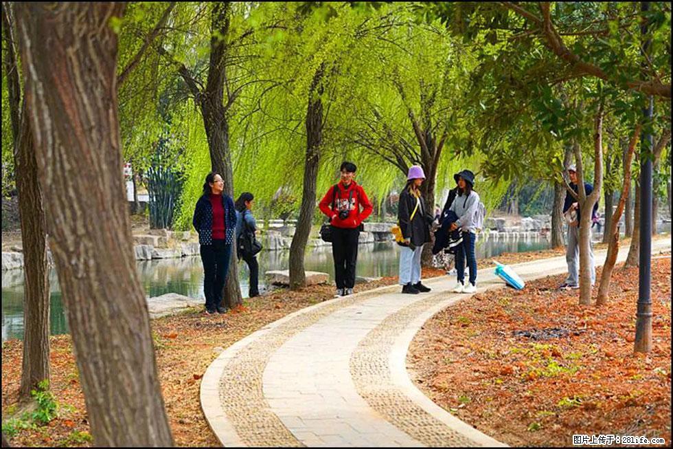 【春天，广西桂林灌阳县向您发出邀请！】江口老街又逢春 - 游山玩水 - 泰州生活社区 - 泰州28生活网 taizhou.28life.net