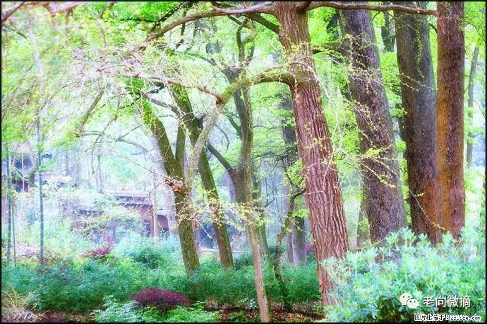 【春天，广西桂林灌阳县向您发出邀请！】在小龙村与春天约会 - 游山玩水 - 泰州生活社区 - 泰州28生活网 taizhou.28life.net