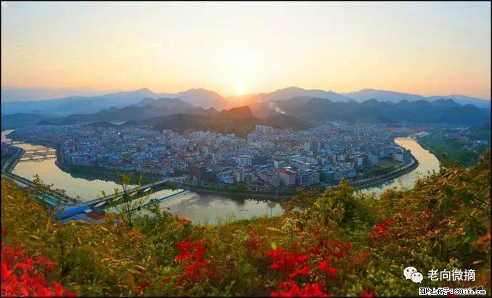 【春天，广西桂林灌阳县向您发出邀请！】登麒麟山，相约映山红 - 游山玩水 - 泰州生活社区 - 泰州28生活网 taizhou.28life.net