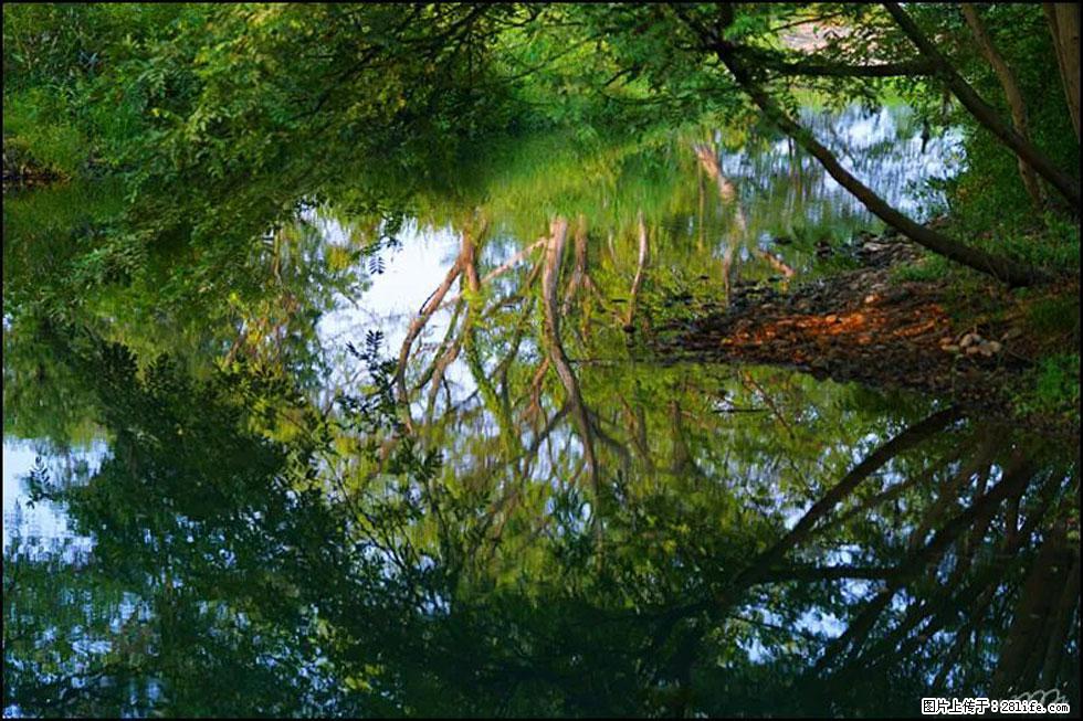 【春天，广西桂林灌阳县向您发出邀请！】熊家寨湿地公园 - 游山玩水 - 泰州生活社区 - 泰州28生活网 taizhou.28life.net