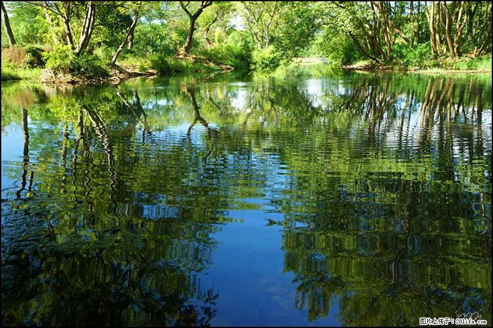 【春天，广西桂林灌阳县向您发出邀请！】熊家寨湿地公园 - 游山玩水 - 泰州生活社区 - 泰州28生活网 taizhou.28life.net