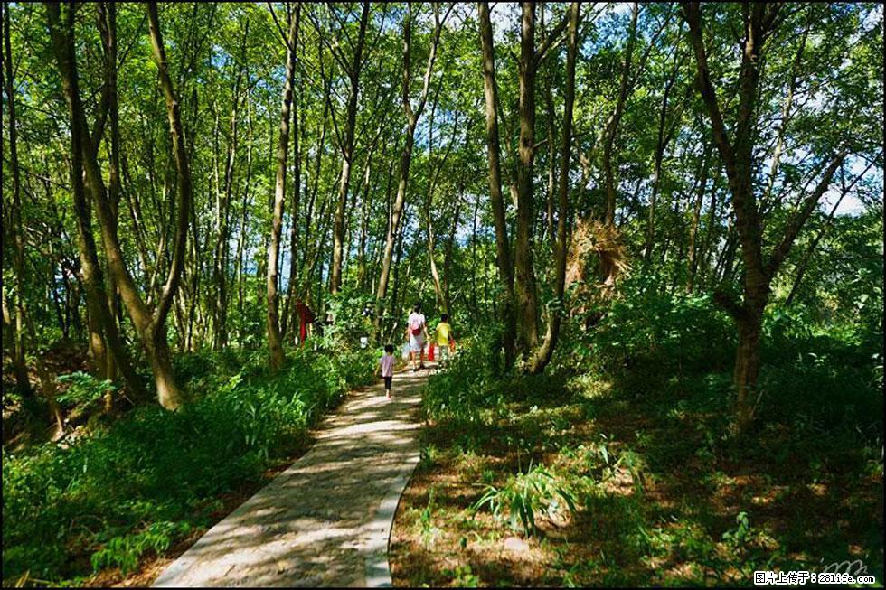 【春天，广西桂林灌阳县向您发出邀请！】熊家寨湿地公园 - 游山玩水 - 泰州生活社区 - 泰州28生活网 taizhou.28life.net