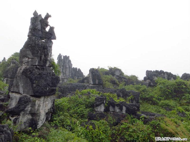 桂林旅游名城景点：灌阳文市石林 - 游山玩水 - 泰州生活社区 - 泰州28生活网 taizhou.28life.net