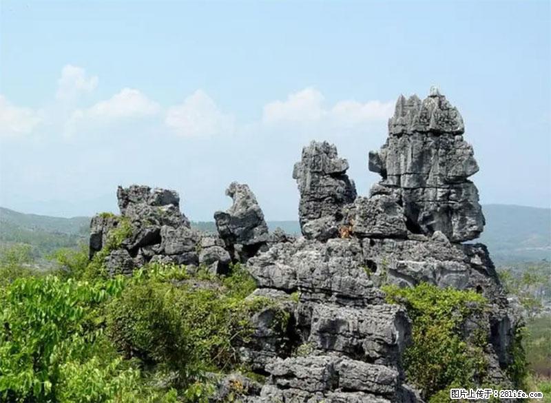 桂林旅游名城景点：灌阳文市石林 - 游山玩水 - 泰州生活社区 - 泰州28生活网 taizhou.28life.net