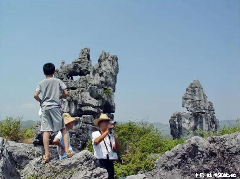 桂林旅游名城景点：灌阳文市石林 - 游山玩水 - 泰州生活社区 - 泰州28生活网 taizhou.28life.net