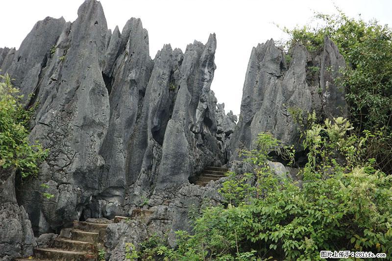 桂林旅游名城景点：灌阳文市石林 - 游山玩水 - 泰州生活社区 - 泰州28生活网 taizhou.28life.net