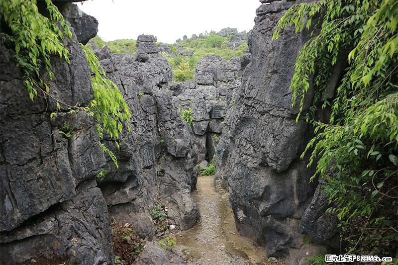 桂林旅游名城景点：灌阳文市石林 - 游山玩水 - 泰州生活社区 - 泰州28生活网 taizhou.28life.net