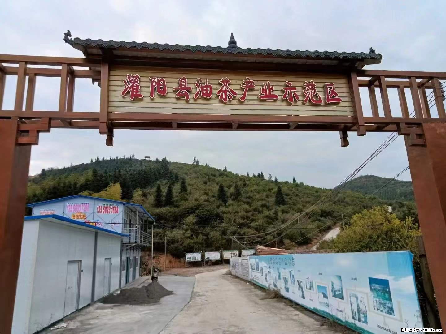 【灌阳县油茶产业示范区】一个有着充实的精神生活的人，对待身外之物自会有一种淡泊的态度 - 土特产 - 饮食特产 - 泰州分类信息 - 泰州28生活网 taizhou.28life.net