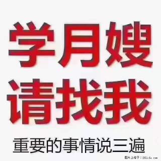 为什么要学习月嫂，育婴师？ - 泰州28生活网 taizhou.28life.net
