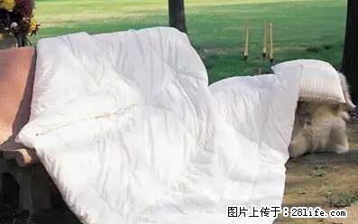 被子有异味？只要这样做，比晒太阳还强100倍！ - 家居生活 - 泰州生活社区 - 泰州28生活网 taizhou.28life.net