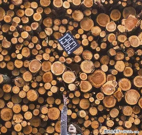 辞掉工作周游世界？现在他们在洗厕所…… - 游山玩水 - 泰州生活社区 - 泰州28生活网 taizhou.28life.net