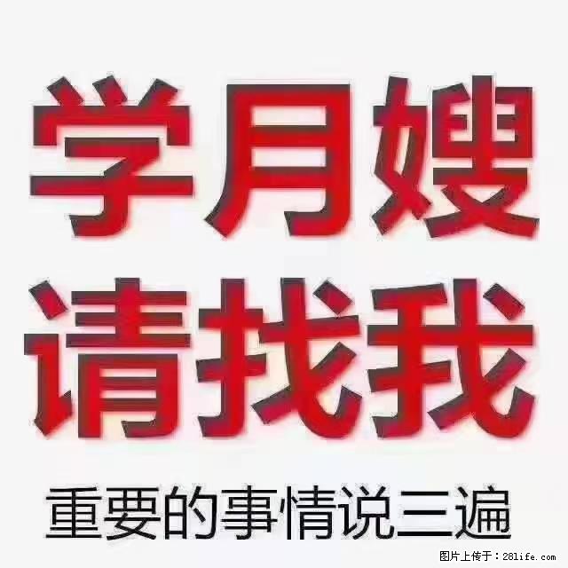【招聘】月嫂，上海徐汇区 - 职场交流 - 泰州生活社区 - 泰州28生活网 taizhou.28life.net