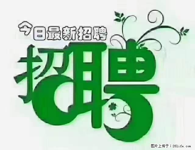 上海青浦区招仓管 - 职场交流 - 泰州生活社区 - 泰州28生活网 taizhou.28life.net