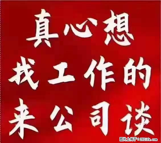 【上海】国企，医院招两名男保安，55岁以下，身高1.7米以上，无犯罪记录不良嗜好 - 职场交流 - 泰州生活社区 - 泰州28生活网 taizhou.28life.net
