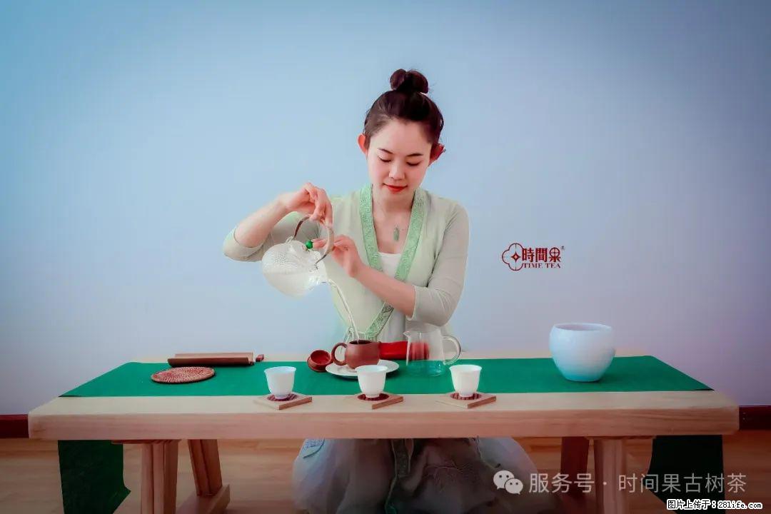 时间果百年古树龙珠普洱生茶 - 购物交流 - 泰州生活社区 - 泰州28生活网 taizhou.28life.net