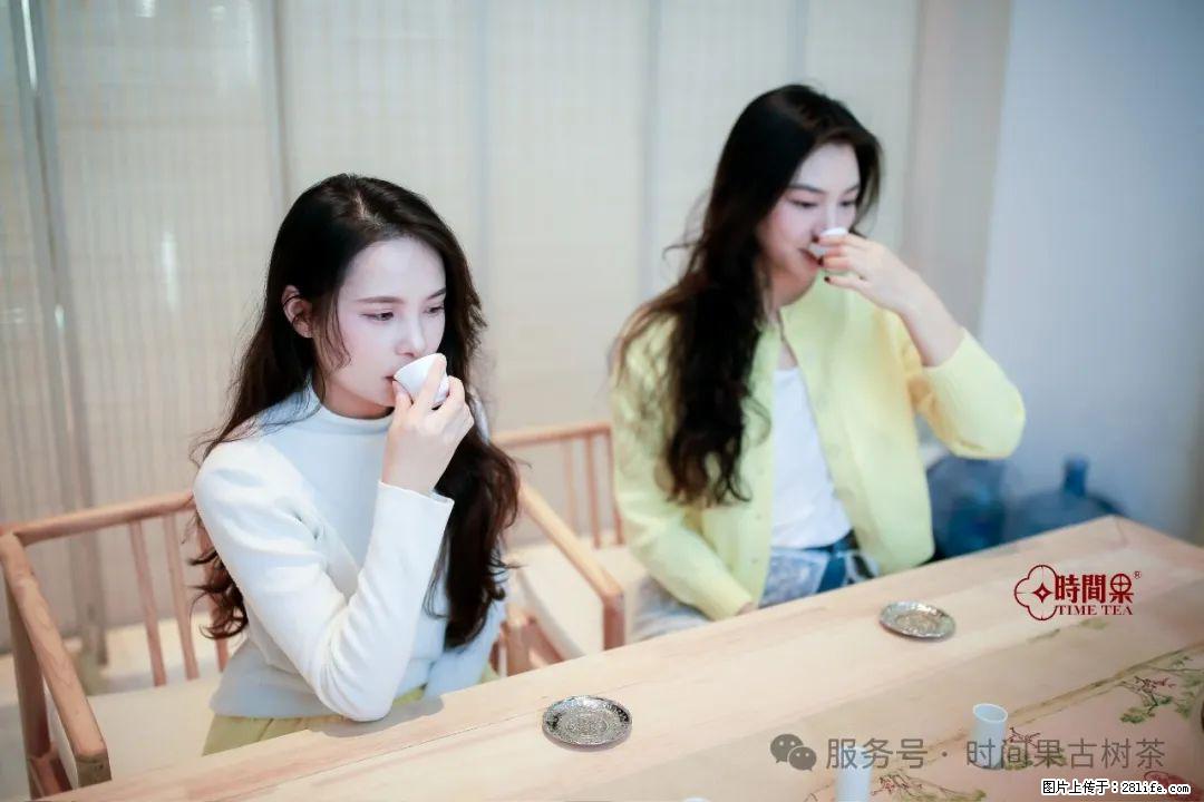 时间果百年古树龙珠普洱生茶 - 购物交流 - 泰州生活社区 - 泰州28生活网 taizhou.28life.net