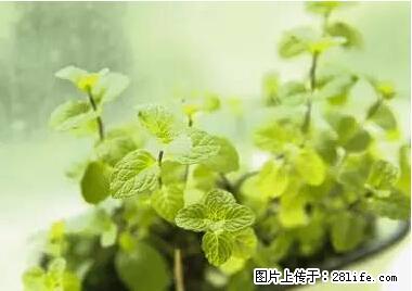 晕车、脚气、牙齿变黄、皮肤粗糙？学会这些三分钟搞定！ - 泰州生活资讯 - 泰州28生活网 taizhou.28life.net