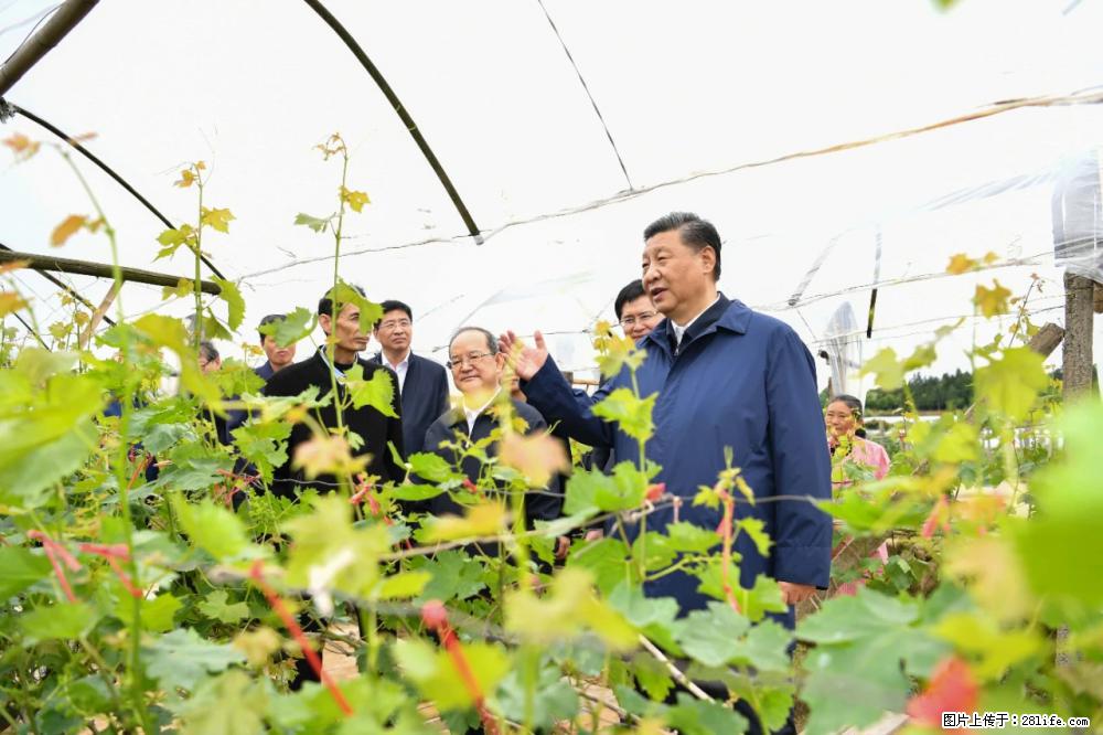 习近平赴广西考察调研 - 泰州生活资讯 - 泰州28生活网 taizhou.28life.net