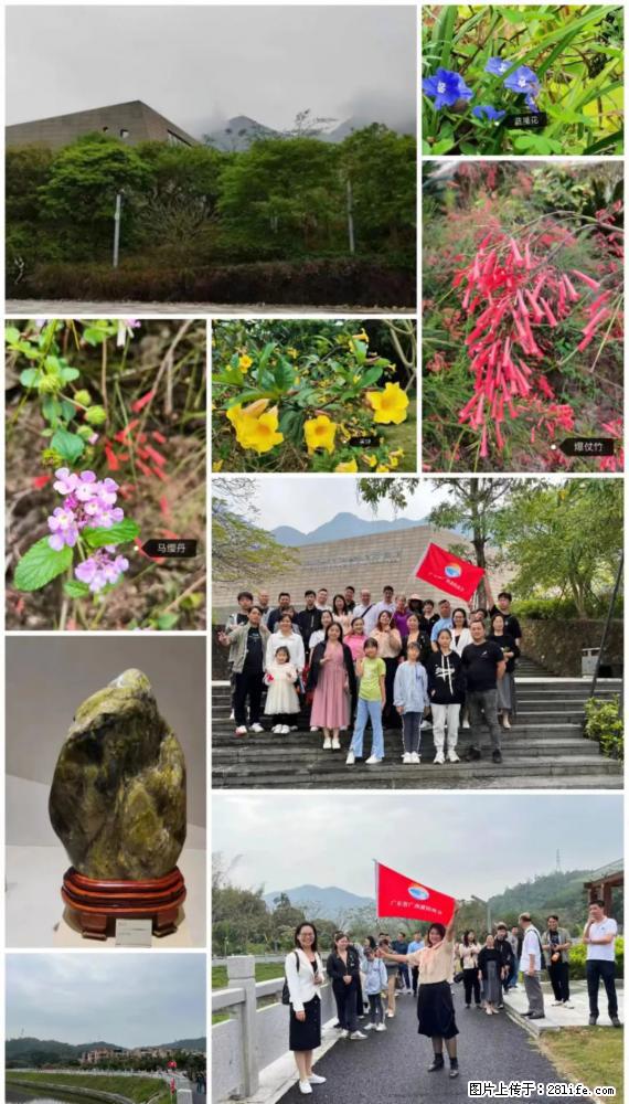 “粤灌文化 美好生活”油茶文化主题活动在广东深圳成功举办 - 泰州生活资讯 - 泰州28生活网 taizhou.28life.net