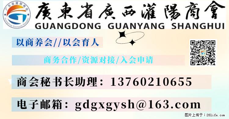 “粤灌文化 美好生活”油茶文化主题活动在广东深圳成功举办 - 泰州生活资讯 - 泰州28生活网 taizhou.28life.net