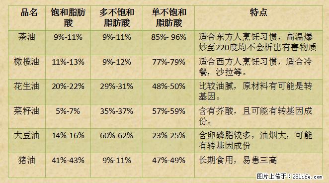 揭秘茶油的5大核心营养成分！被称为人体健康的“守护盾”！ - 泰州生活资讯 - 泰州28生活网 taizhou.28life.net