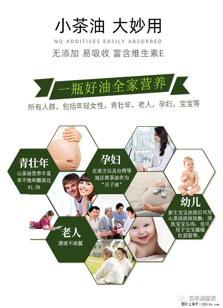 世界没有真相，只有认知，最好的食用油是中国的山茶油！ - 泰州生活资讯 - 泰州28生活网 taizhou.28life.net