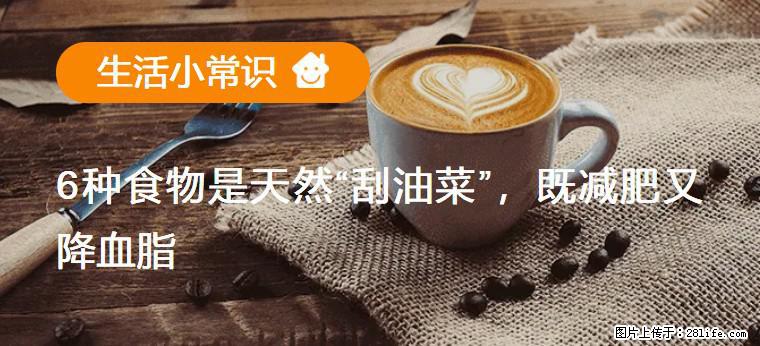 【生活小常识】6种食物是天然“刮油菜”，既减肥又降血脂 - 泰州生活资讯 - 泰州28生活网 taizhou.28life.net