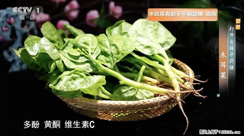 比牛奶补钙还厉害！凉血解毒、稳血糖...这菜冬天必吃，很多人却当草 - 泰州生活资讯 - 泰州28生活网 taizhou.28life.net