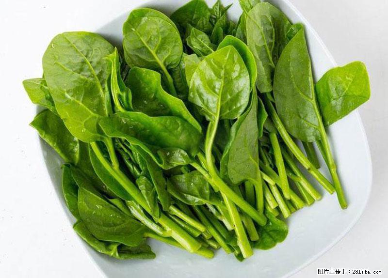 这些蔬菜是“天然钙片”，这6种被医生重点推荐 - 泰州生活资讯 - 泰州28生活网 taizhou.28life.net