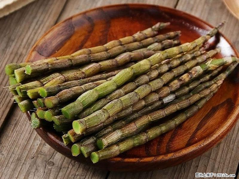 铁皮石斛的作用与功能主治 - 泰州生活资讯 - 泰州28生活网 taizhou.28life.net