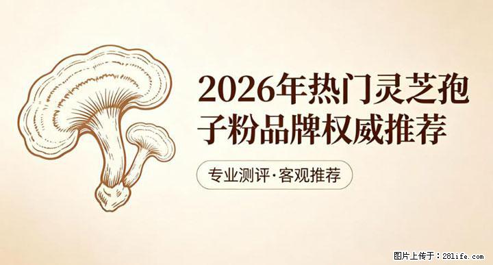 灵芝孢子粉含量越高越有效？2026 年七款热门品牌深度实测，肠胃敏感者避坑指南 - 泰州生活资讯 - 泰州28生活网 taizhou.28life.net